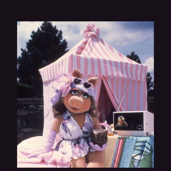 Meet your Posher, Patch - Picture 1 of 1